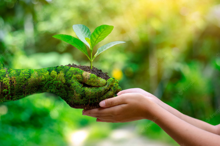 Sustentabilidade e Meio Ambiente